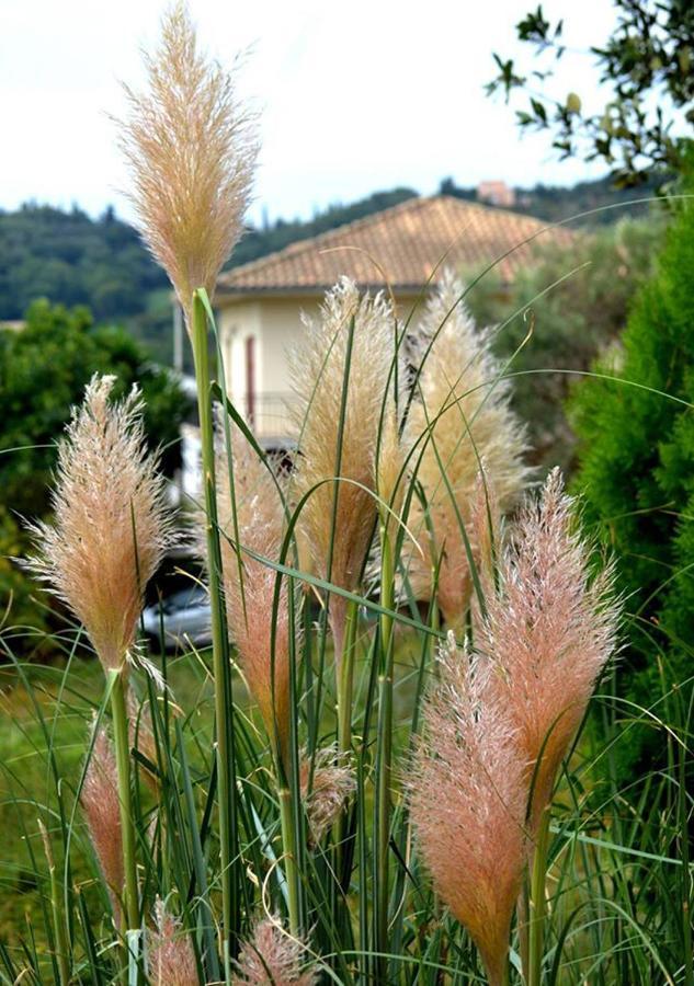 Jerry Afro Séjour à la campagne